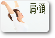 肩・頚　説明