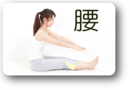 腰　説明