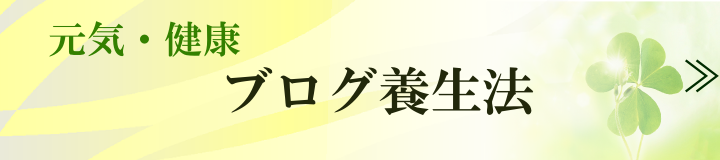 ブログ養生法 ブログ養生法
